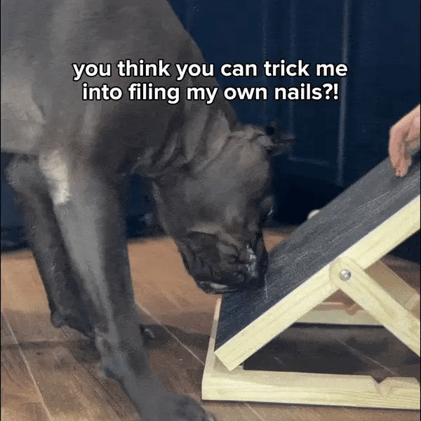 ScratchSnack™ - Nail Filing Pad