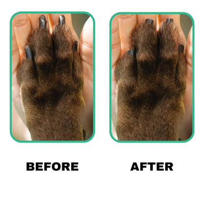 ScratchSnack™ - Nail Filing Pad